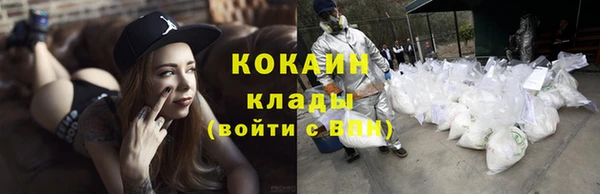 тгк Нея