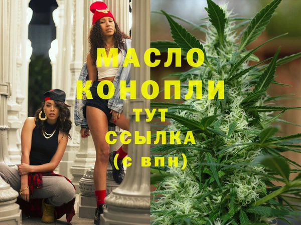 мдпв Надым
