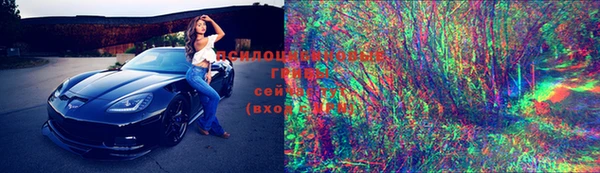 мдпв Надым