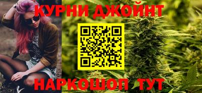 jwh Кингисепп
