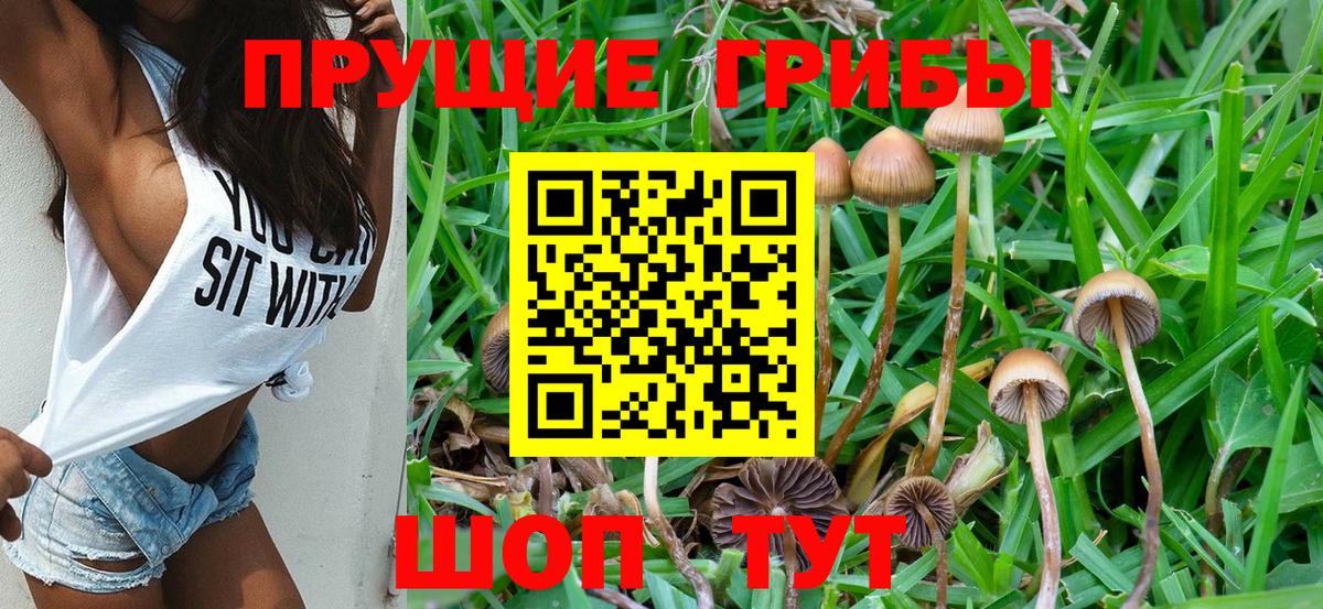 Галлюциногенные грибы GOLDEN TEACHER  Псилоцибиновые грибы Magic Shrooms  Нововоронеж  Вход с VPN 