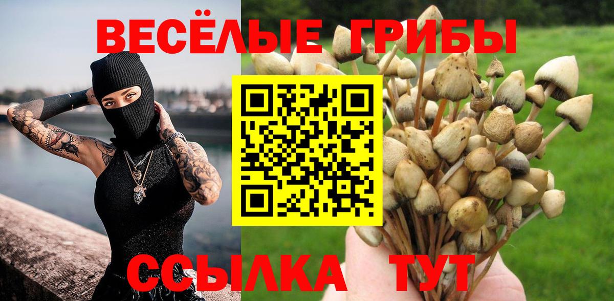 Галлюциногенные грибы Cubensis Нововоронеж