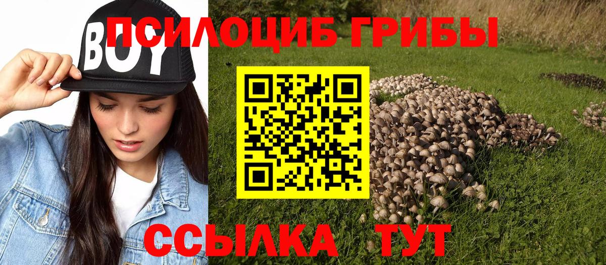Канабис  ГАШ  Ляпка  Нововоронеж  Купить наркотики цена  Alpha PVP  МЕФ  Вход с VPN  Героин 