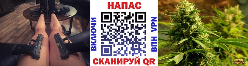 Шишки марихуана сатива Нововоронеж