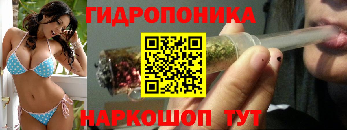 Шишки марихуана семена  Вход с VPN  МАРИХУАНА план  Бошки марихуана Bruce Banner  Нововоронеж 
